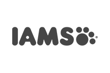 IAMS logo.